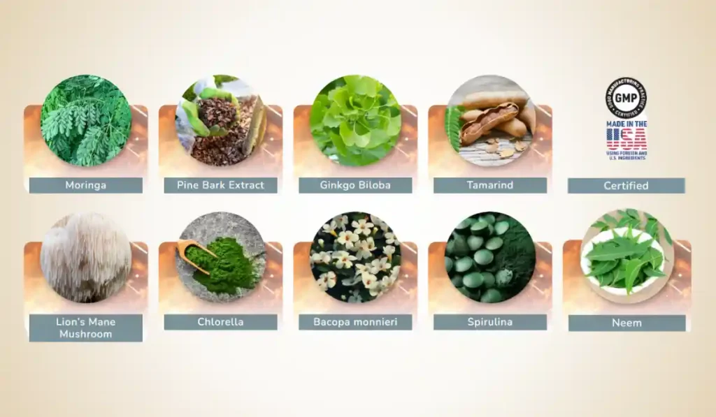 Neuroprime Ingredients