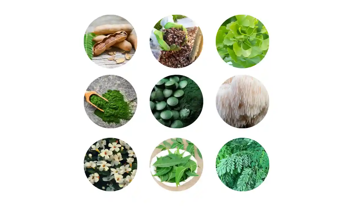Pineal Pure Ingredients